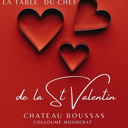 Chateau Boussas Bed & Breakfast Couloume-Mondebat